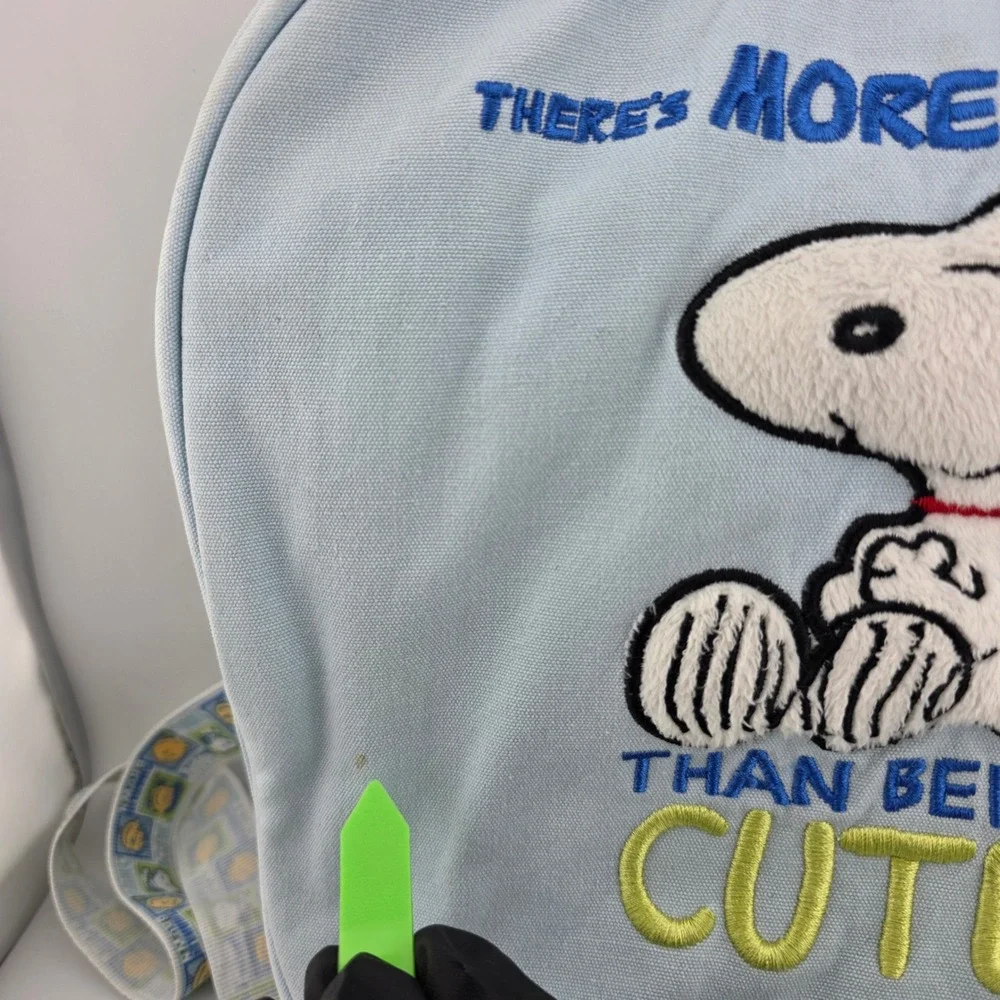 Camp Snoopy fair pre