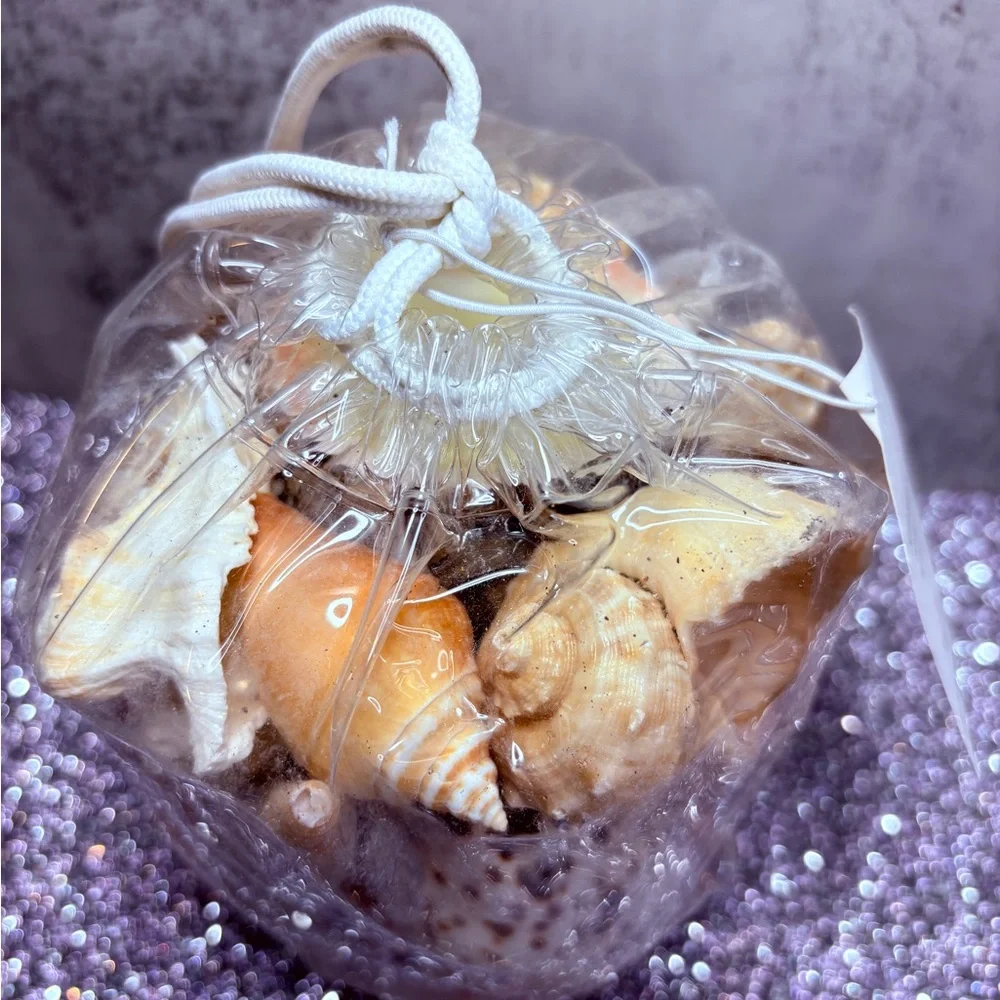 Pottery Barn Seashell Mix in Natural Tan and Cream