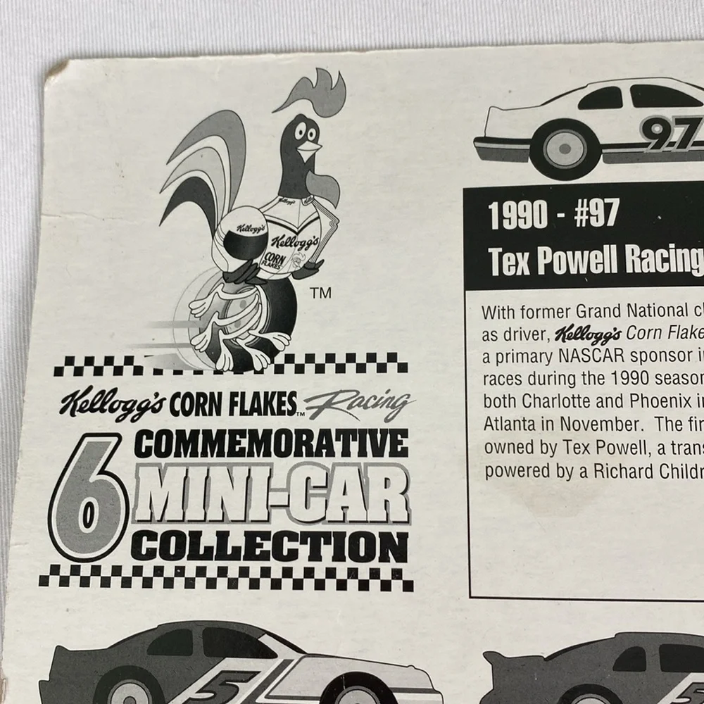Nascar these mini