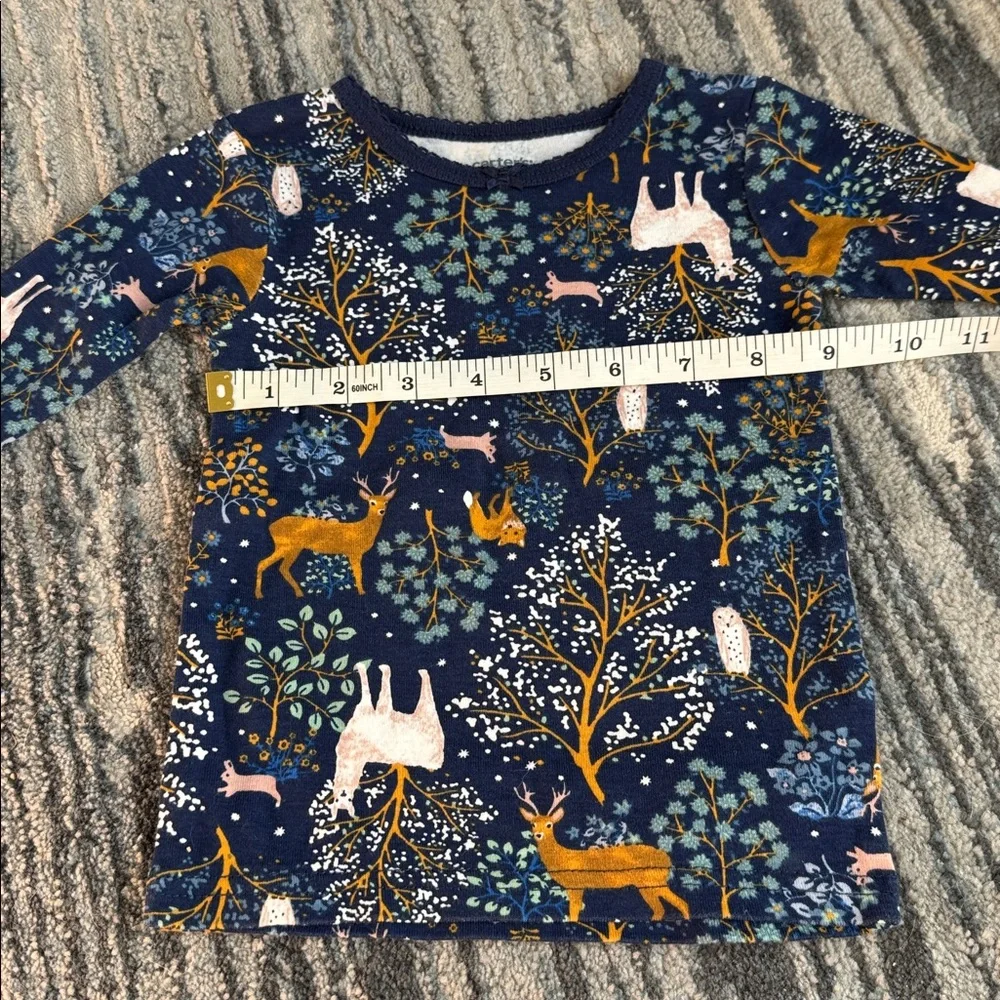 Carters 18 month