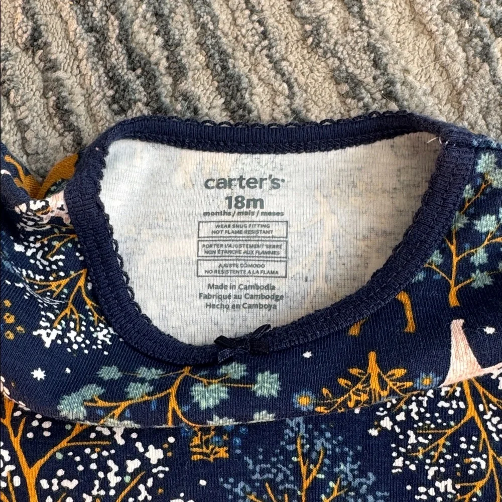 Carters 18 month