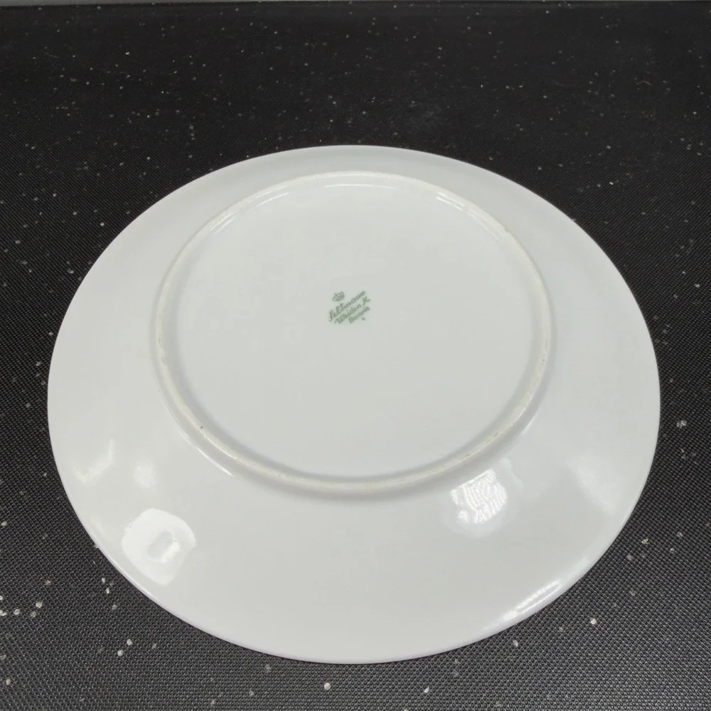 Seltmann‎ Weiden Bavaria Red Rose Porcelain Plates Dishes Set of 2 Germany Decor