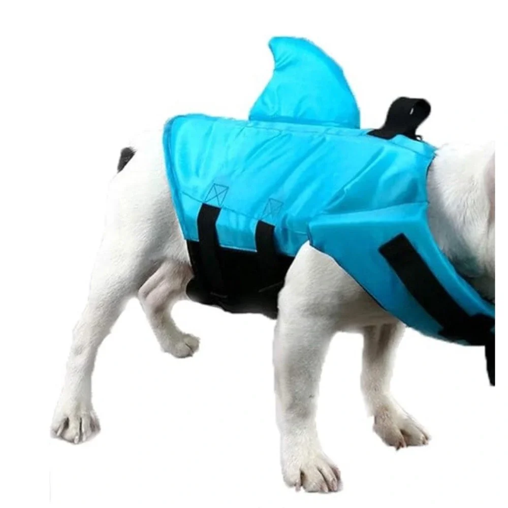 N/A dog puppy