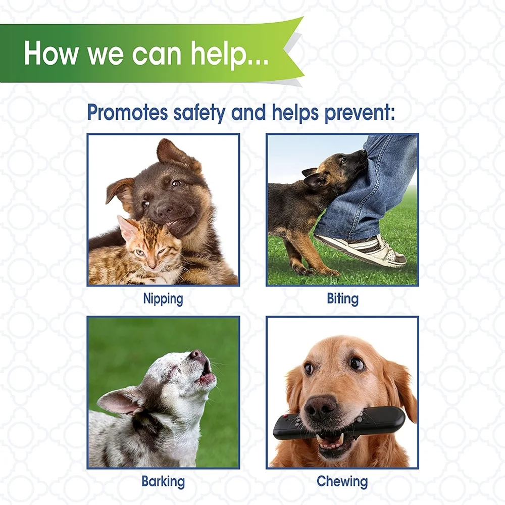 Four Paws easy new that