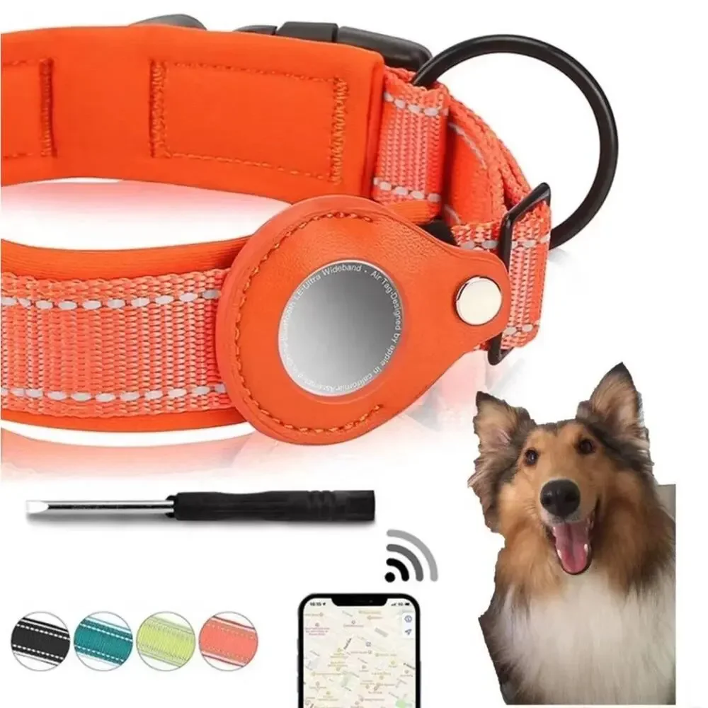 None this collar