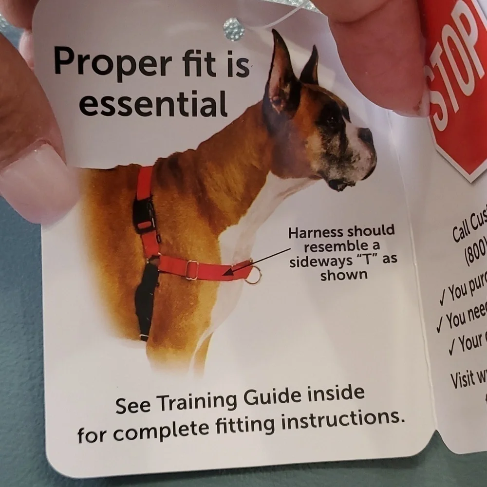 Pet Safe this size