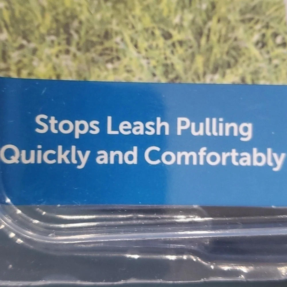 Pet Safe this size