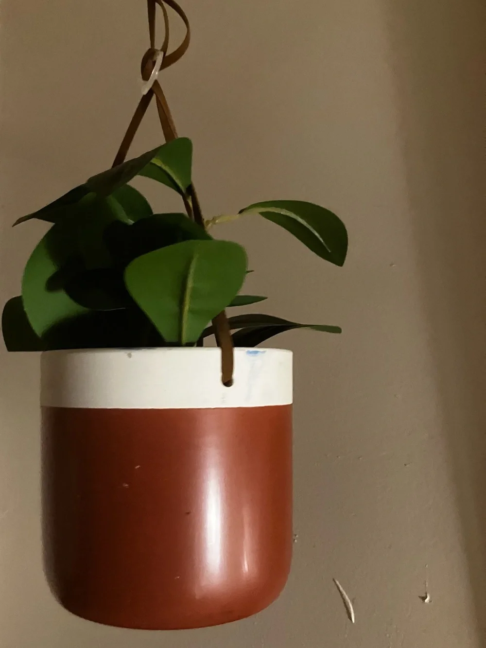 Set of 2 Terracotta & White Hanging Planter Pair - Modern Home Accents
