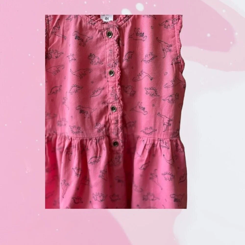 Carter's Dinosaur Dress