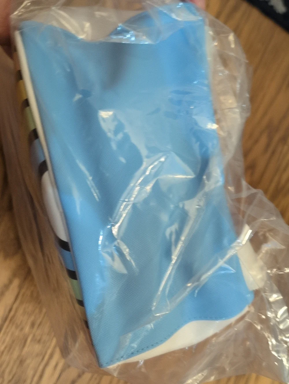 Sanrio light blue