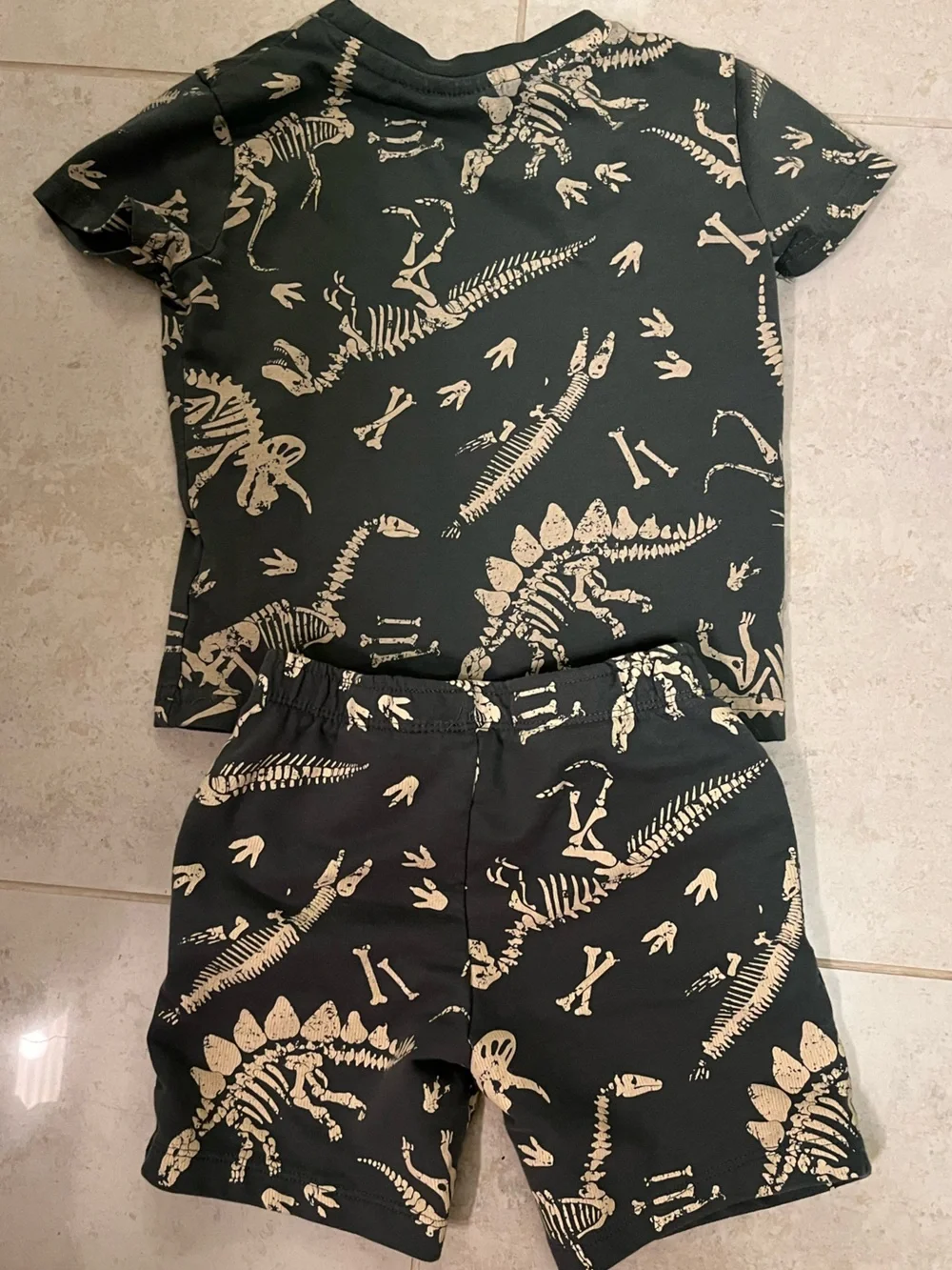 Lily And Dan toddler dino