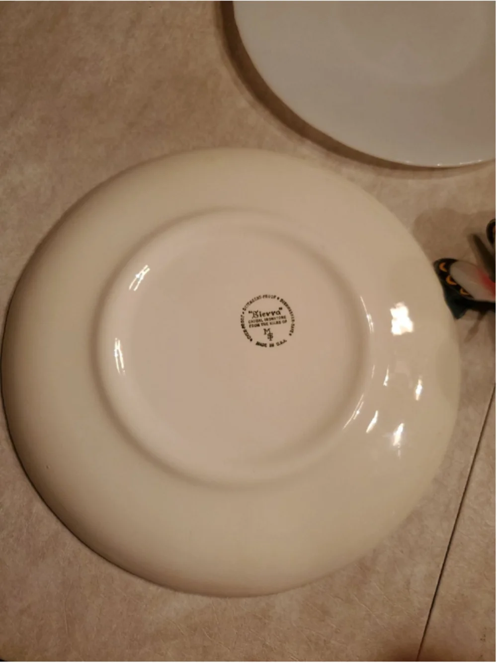 Sierra Casual Ironstone Platter