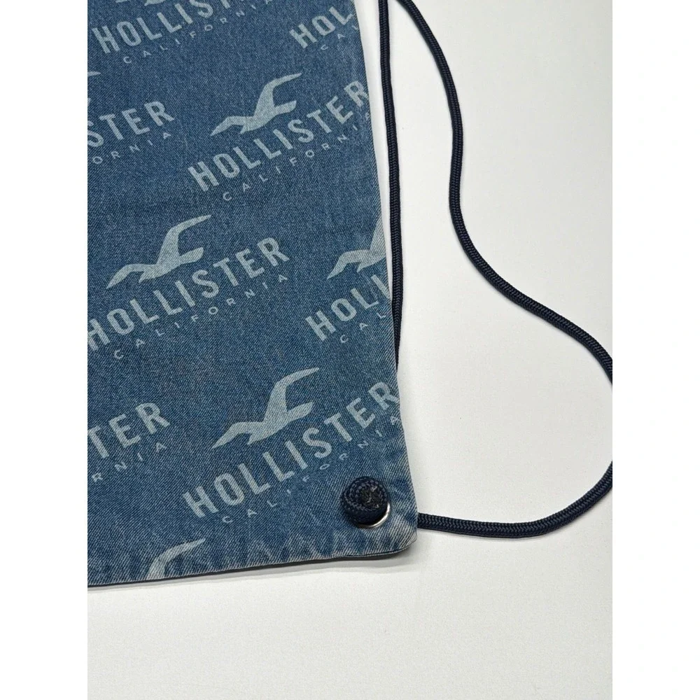 Hollister carrying logo frankdealz