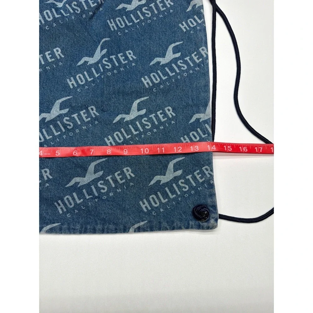 Hollister travel print