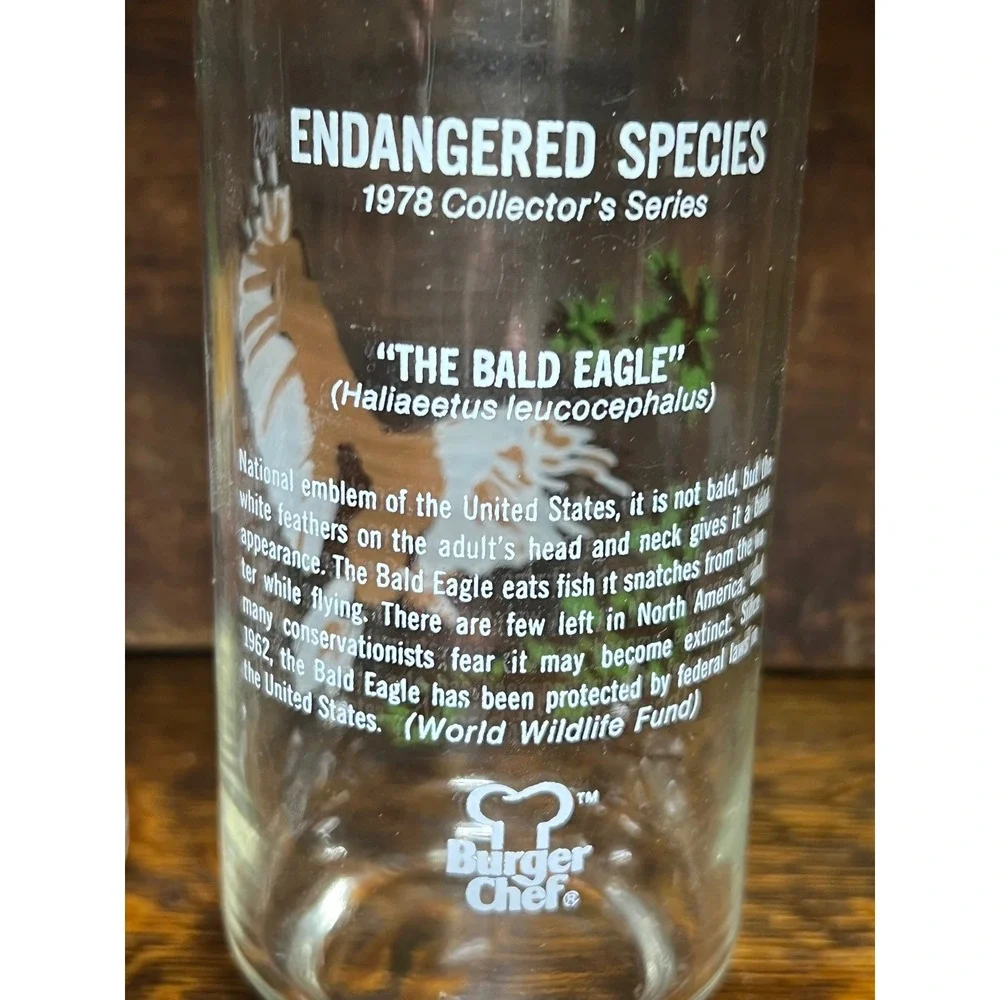 Vintage 1978 Burger Chef Glasses Endangered Species  Tiger Bald Eagle Set of 2