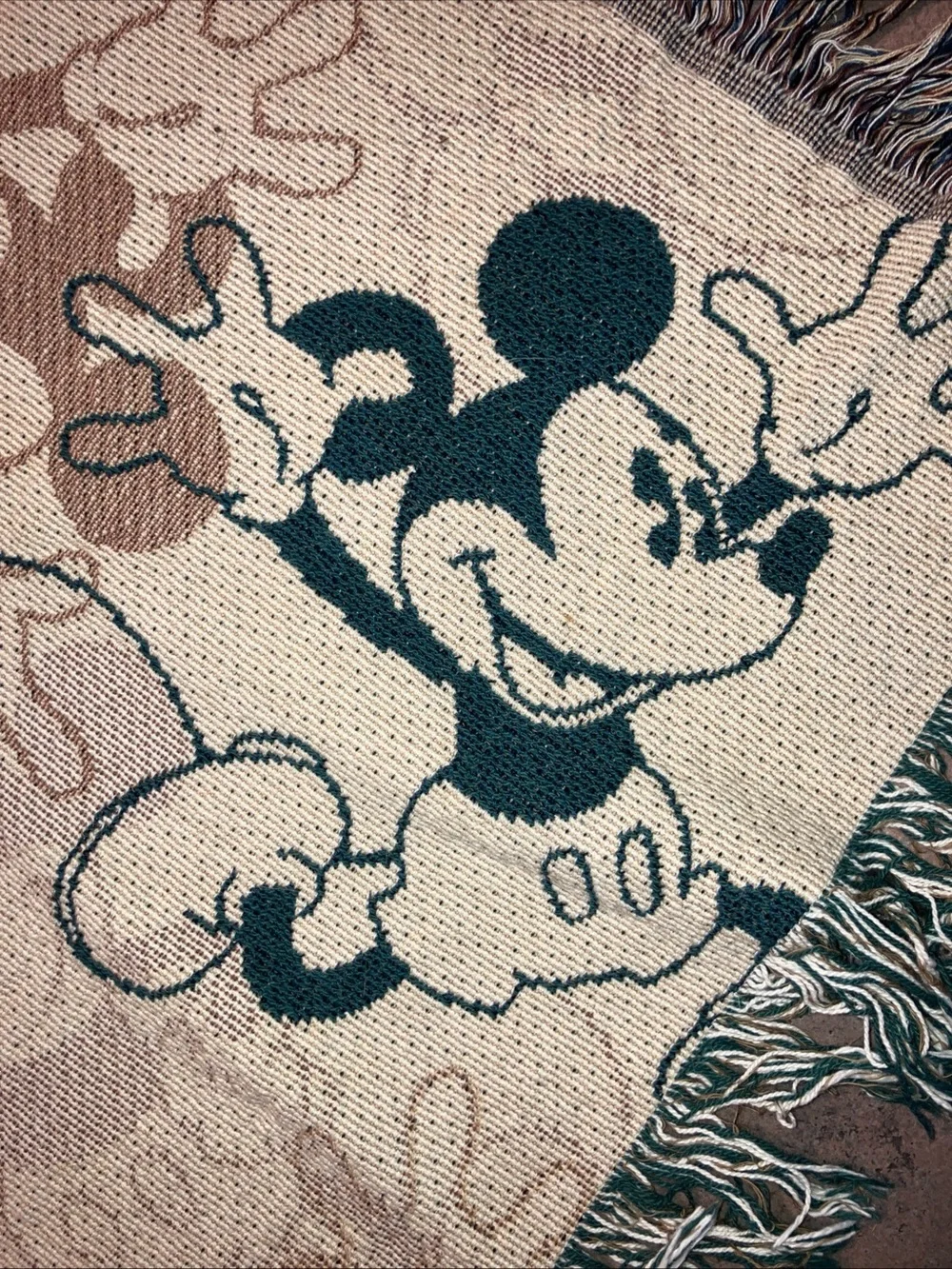 Disney cozy use parks