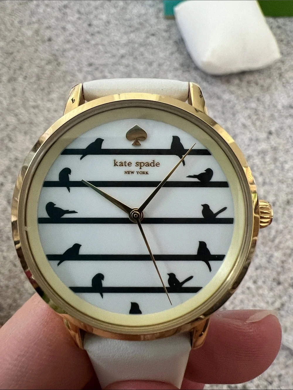 kate spade fashion watch
