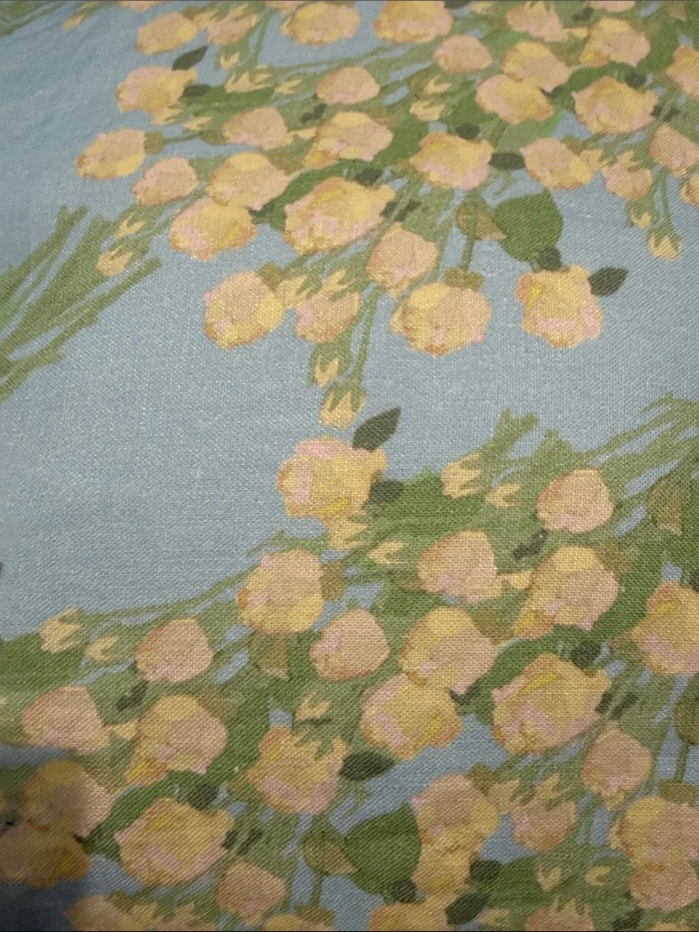 BERNADETTE Botanical Floral Throw Pillow Set of 2 - excellent condition