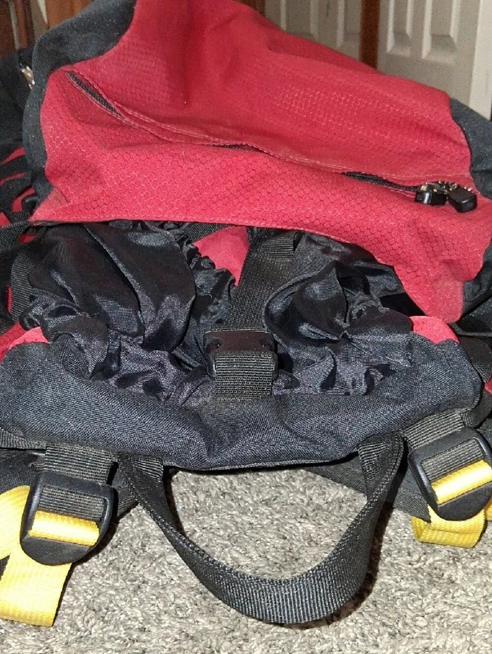 Alps Mountaineering strap pics straps