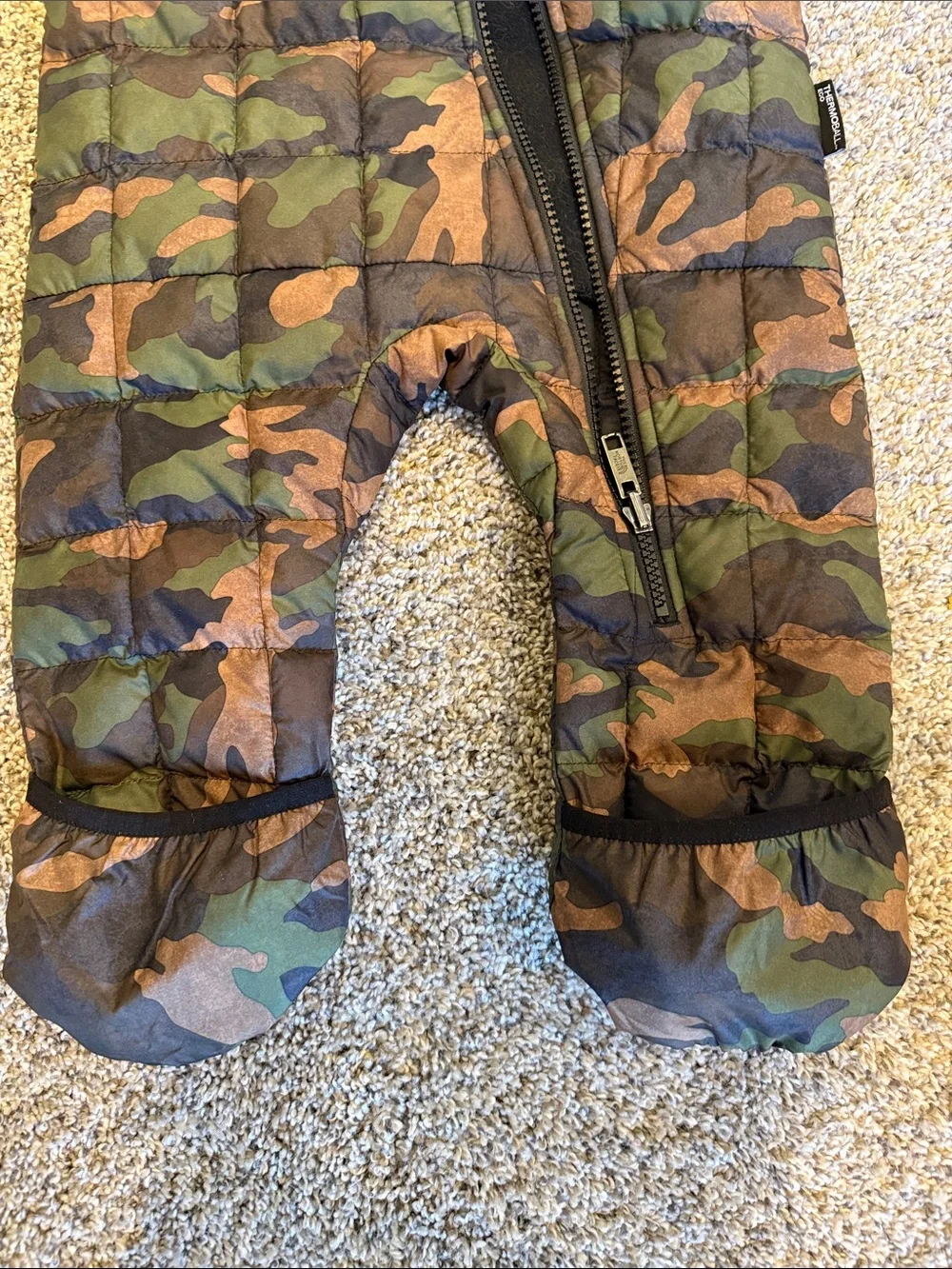 The North Face this jacket