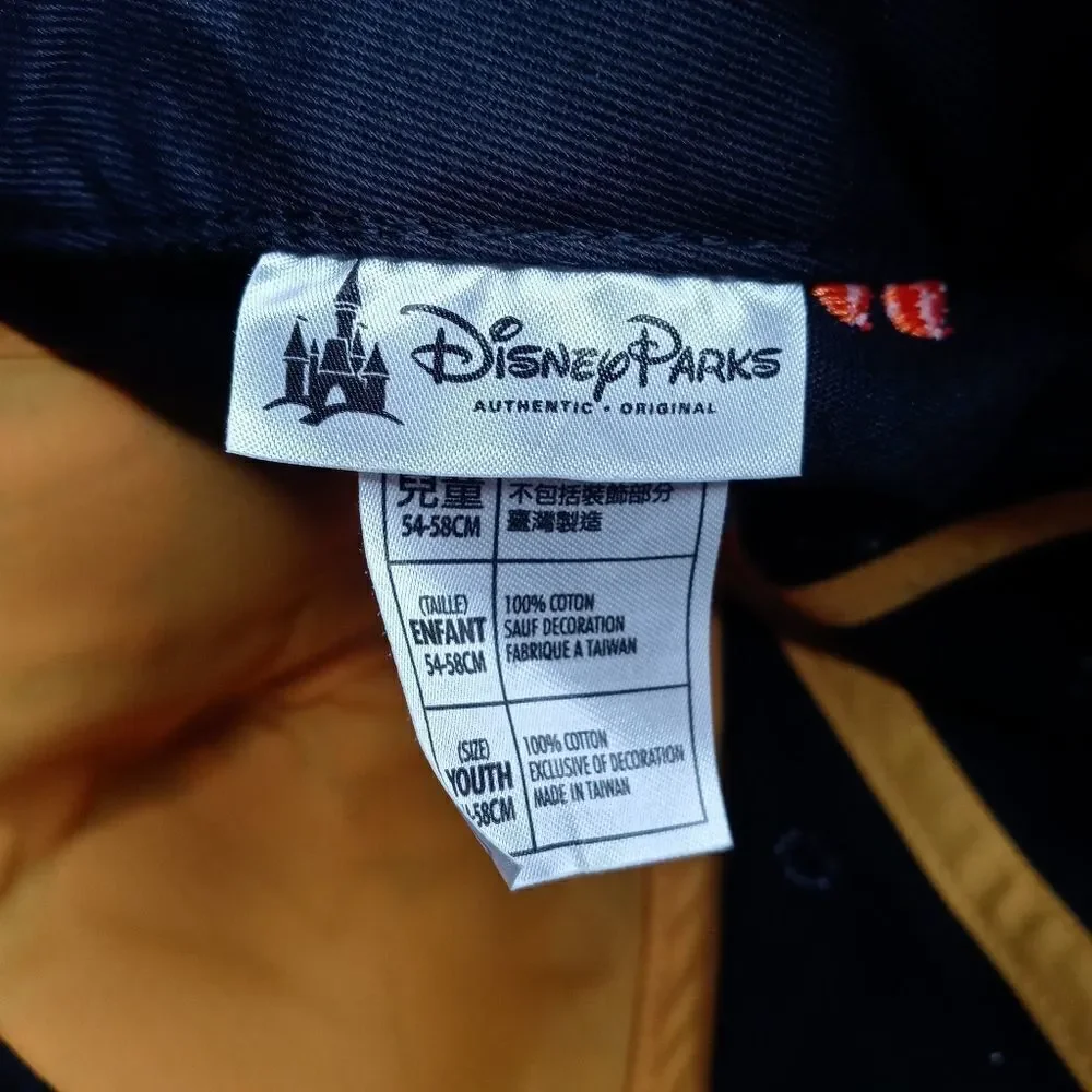 Disney new park