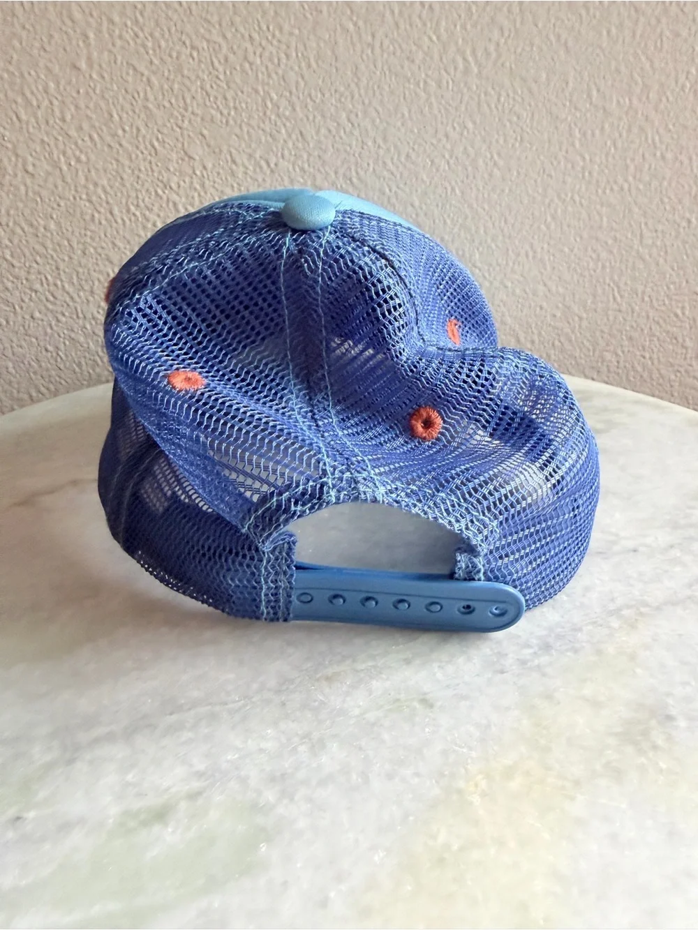 Disney parks trucker