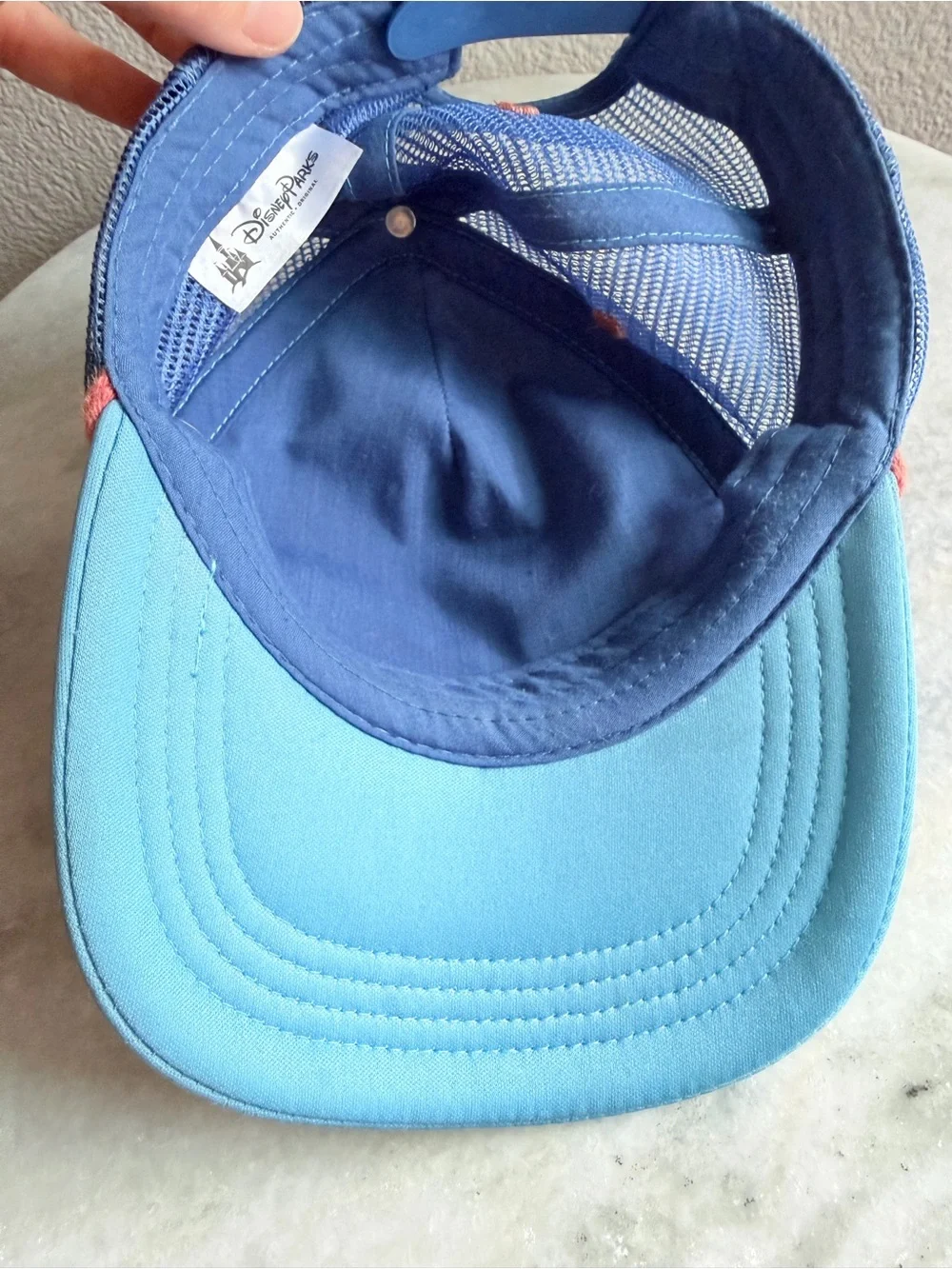 Disney parks trucker