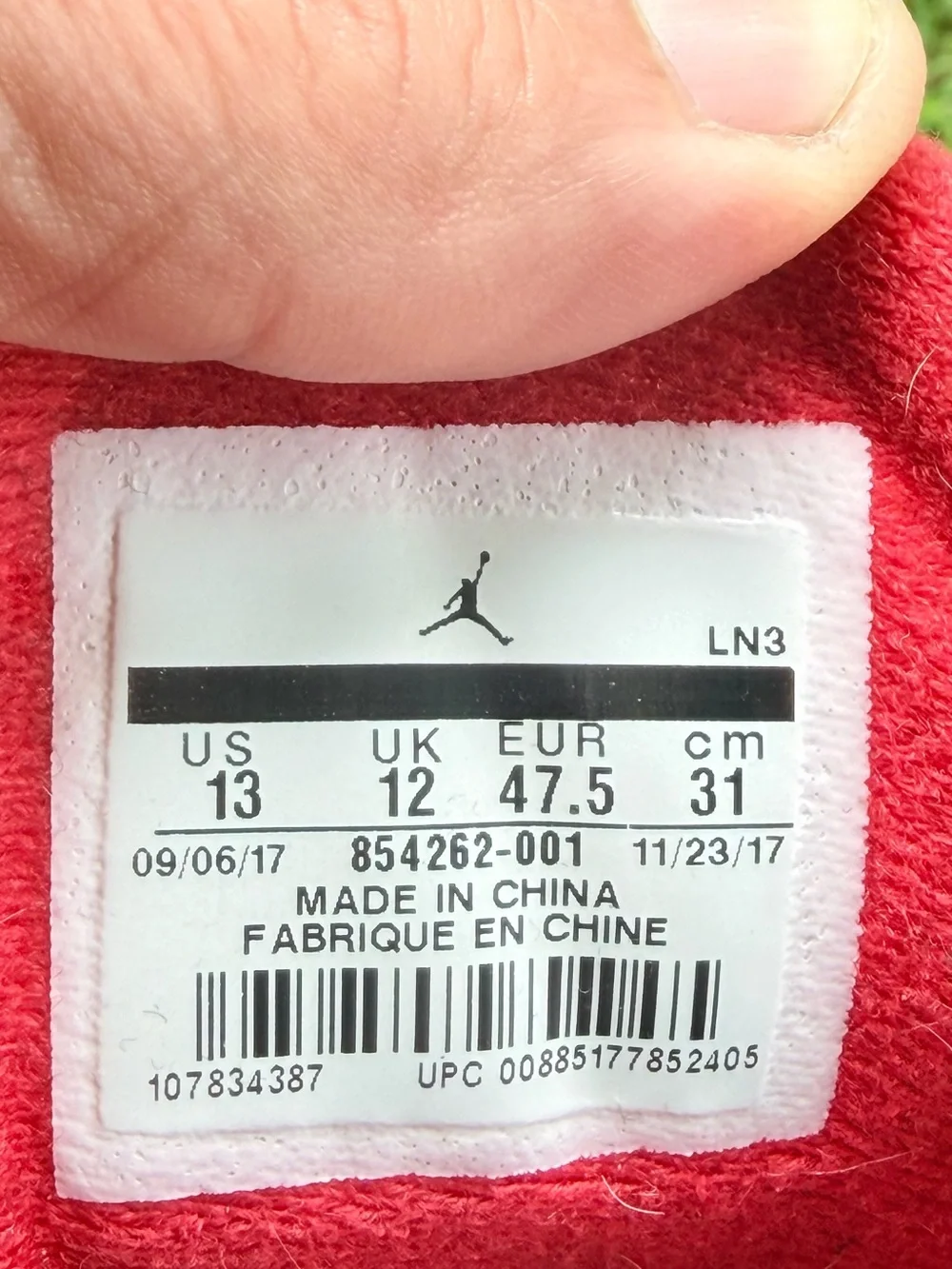 Jordan iconic profile