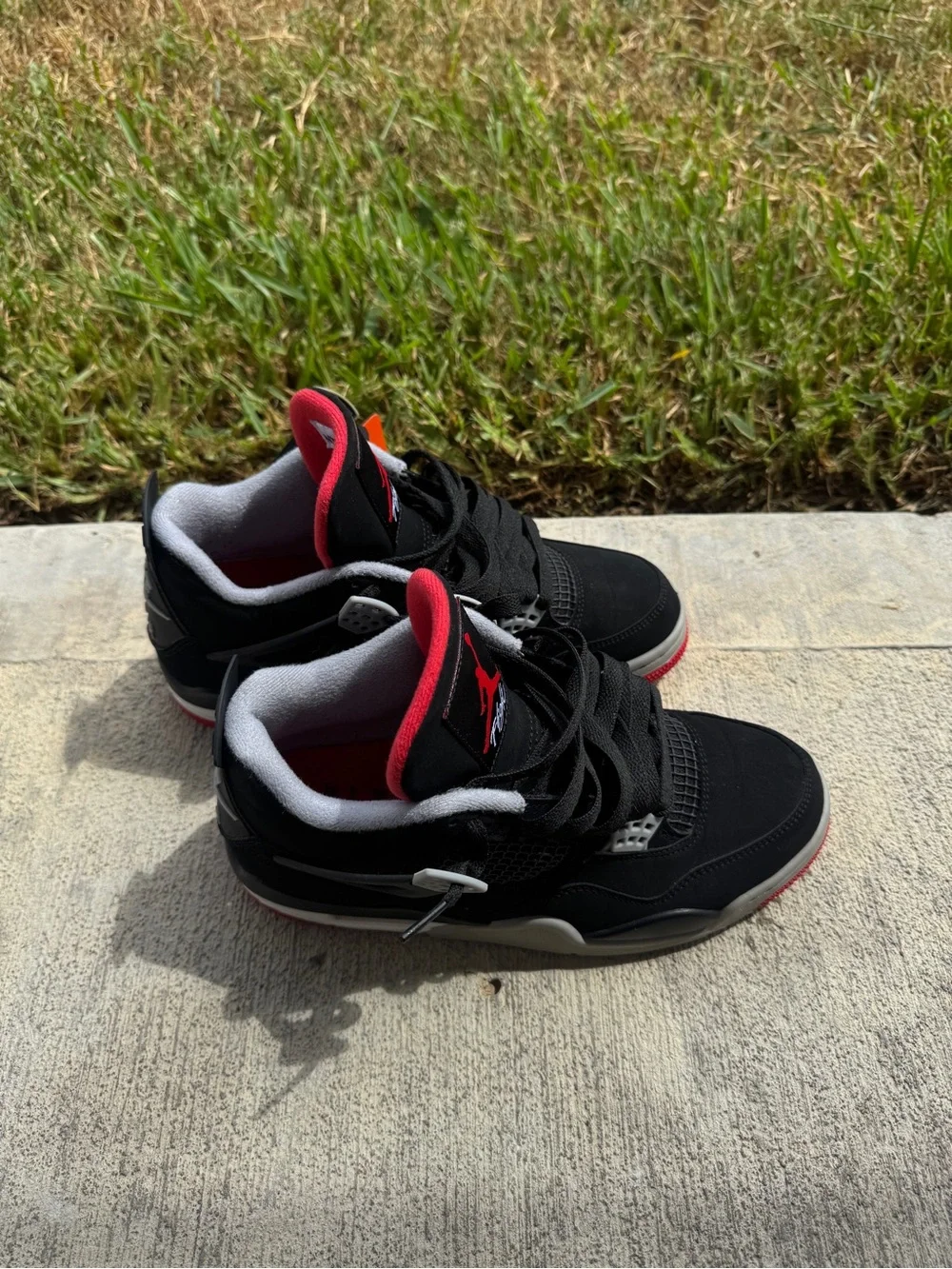 Jordan bred 4s