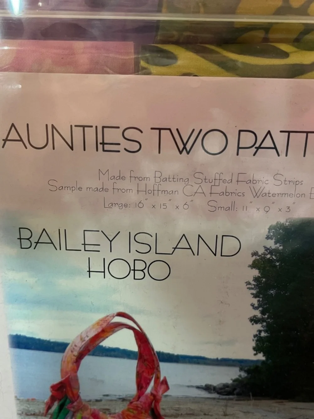 Two Aunties aunties two
