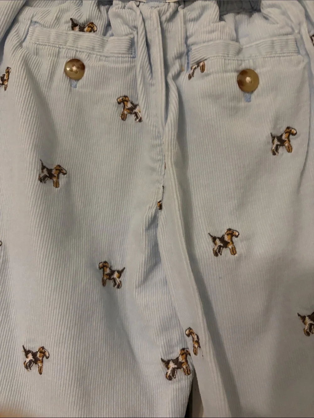 Ralph Lauren Light Blue Corduroy Embroidered Dog Shorts with Stripe Belt-9 Month