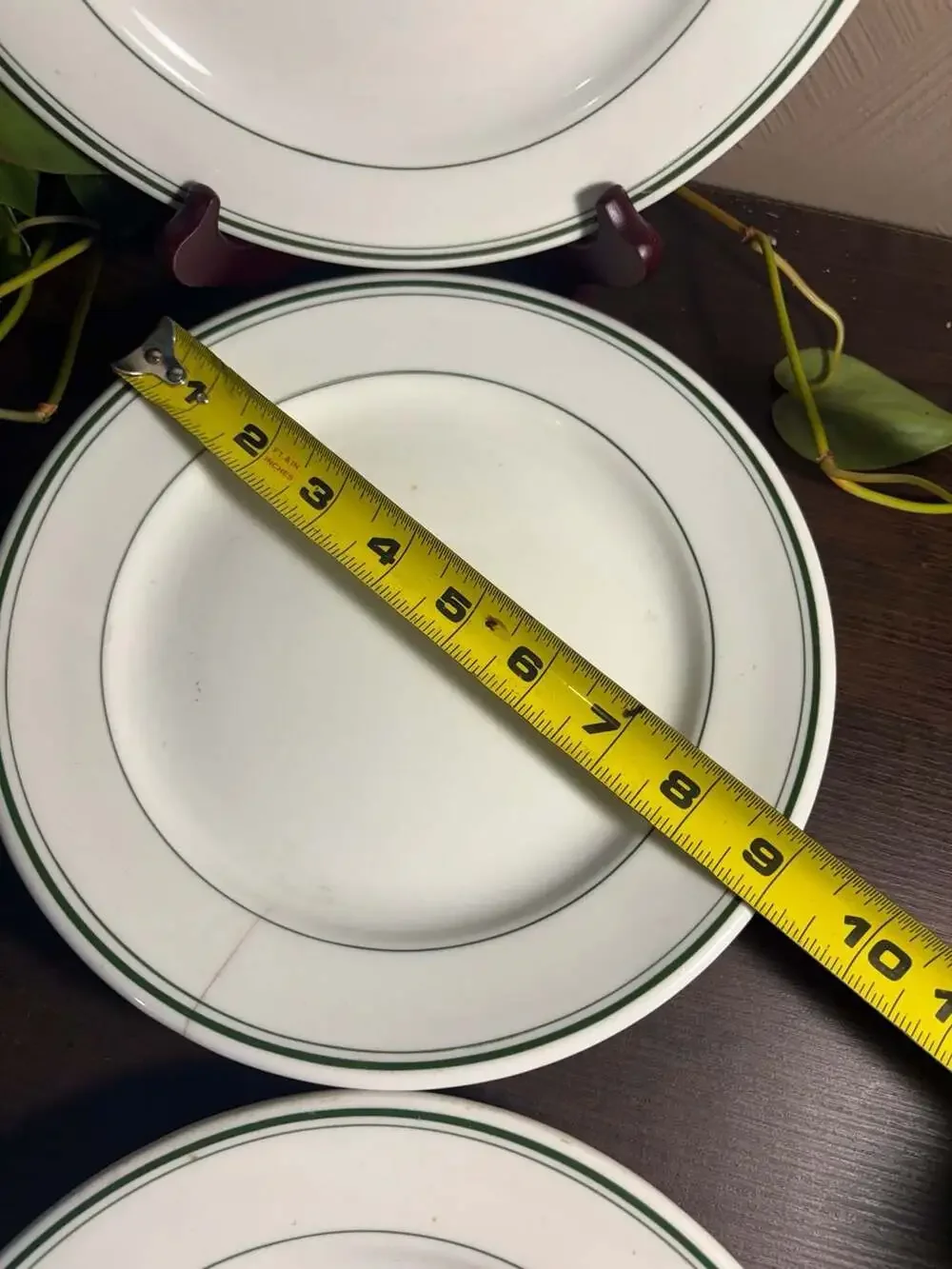 Jackson Vitrified China Restaurant Ware Plates with Green Band Trim