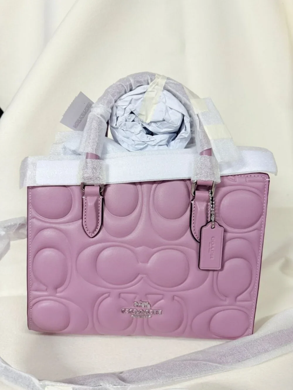 Coach lining inside