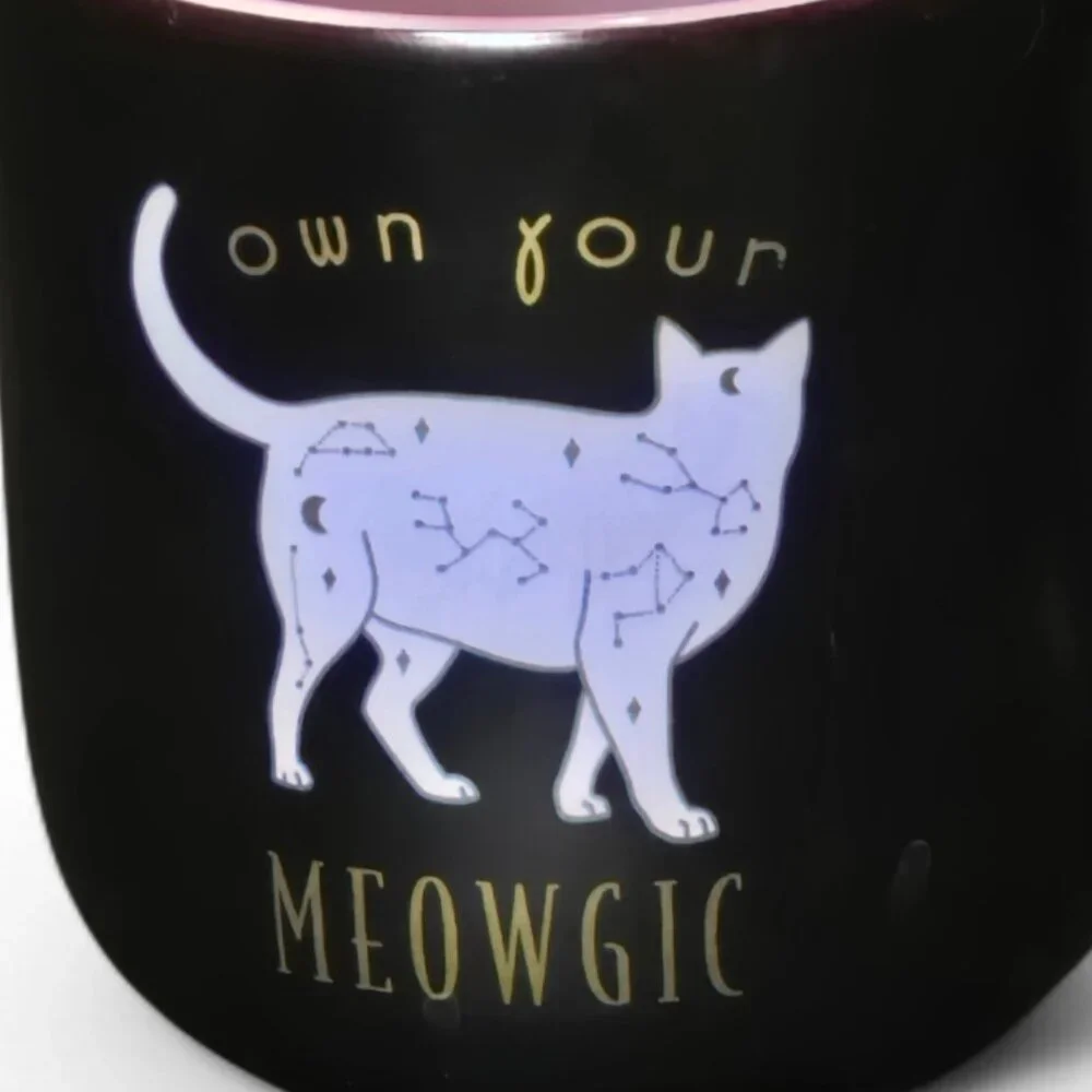 N/A cute cat