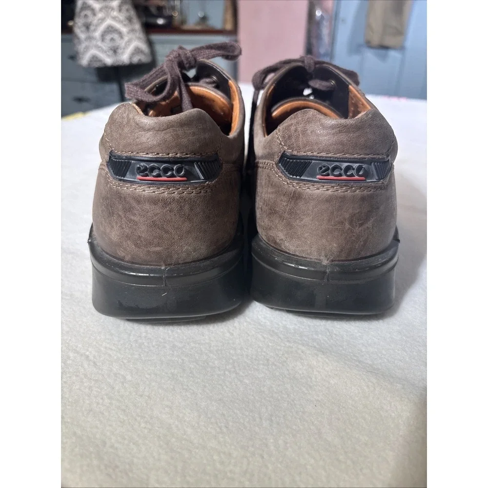 Ecco travel option