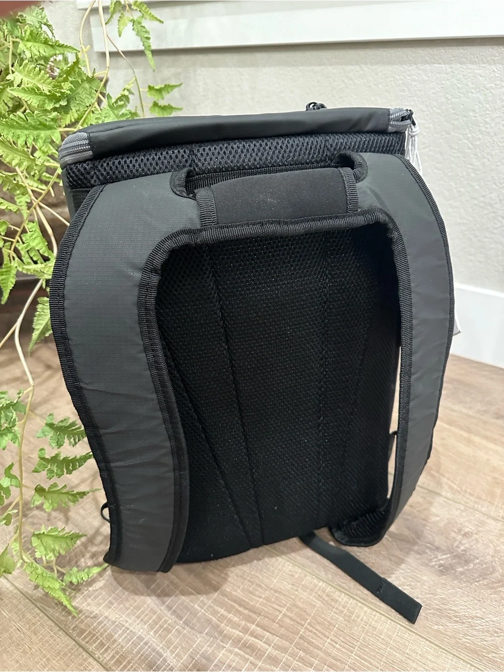 Tommy Bahama insulated cooler