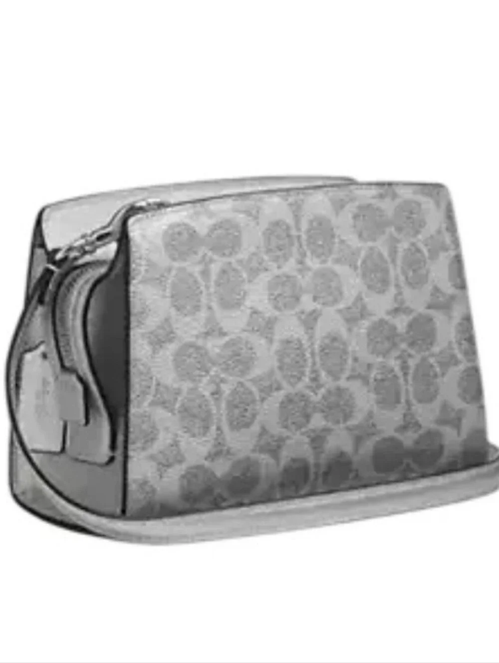 Coach leather gia