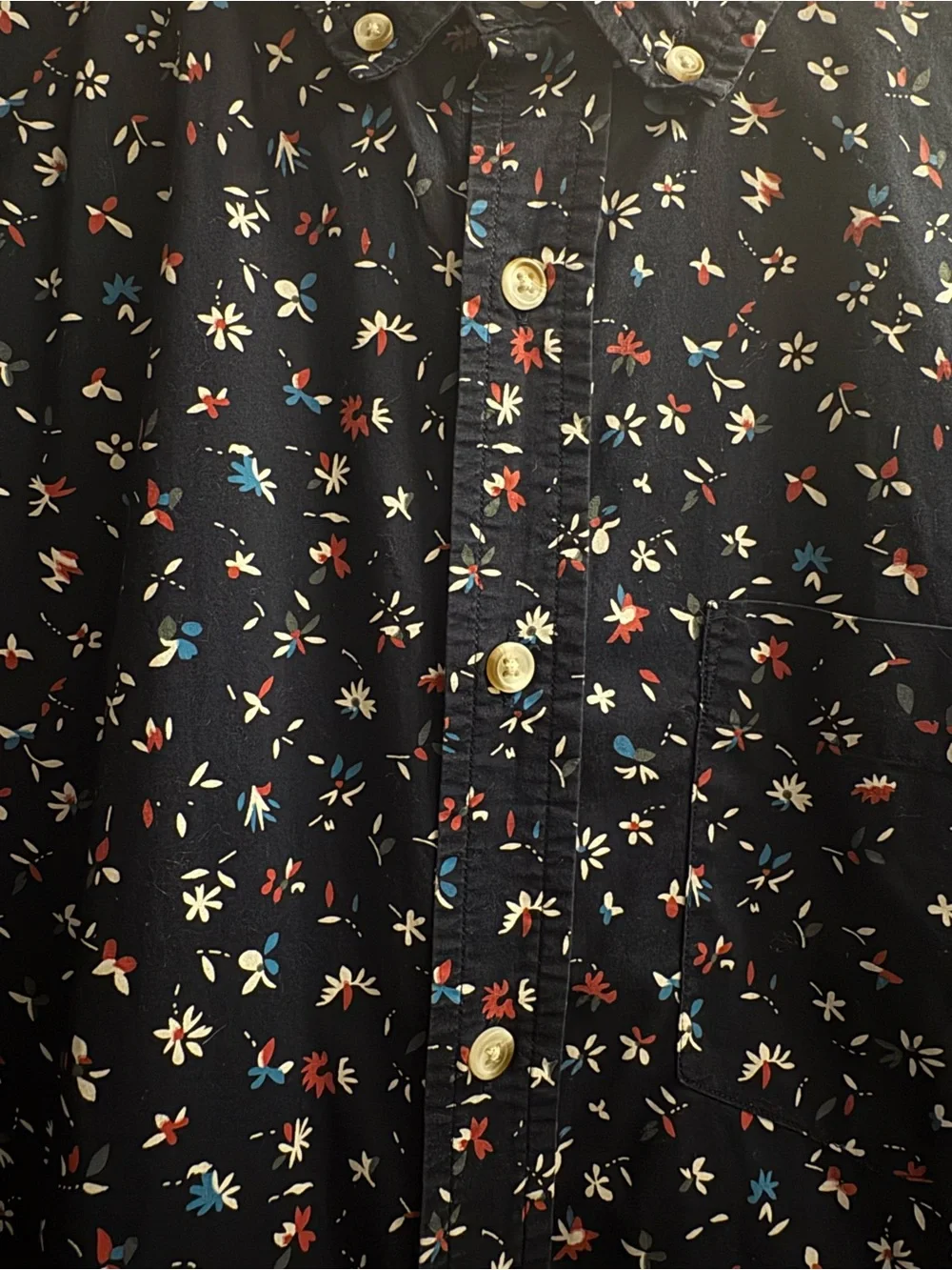Banana Republic navy short
