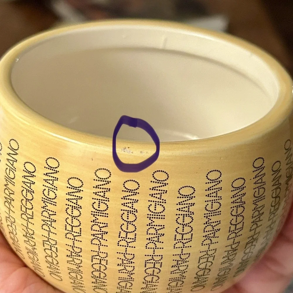 Consorzio Parmigiano Reggiano Ceramic Cheese Jar Italy 3.5