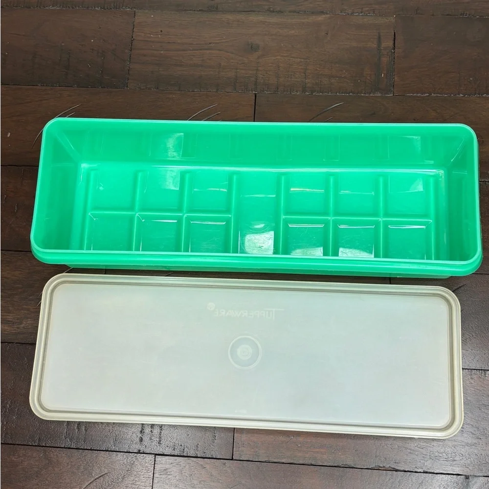 Tupperware celery keeper