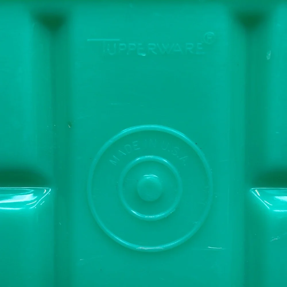 Tupperware celery keeper