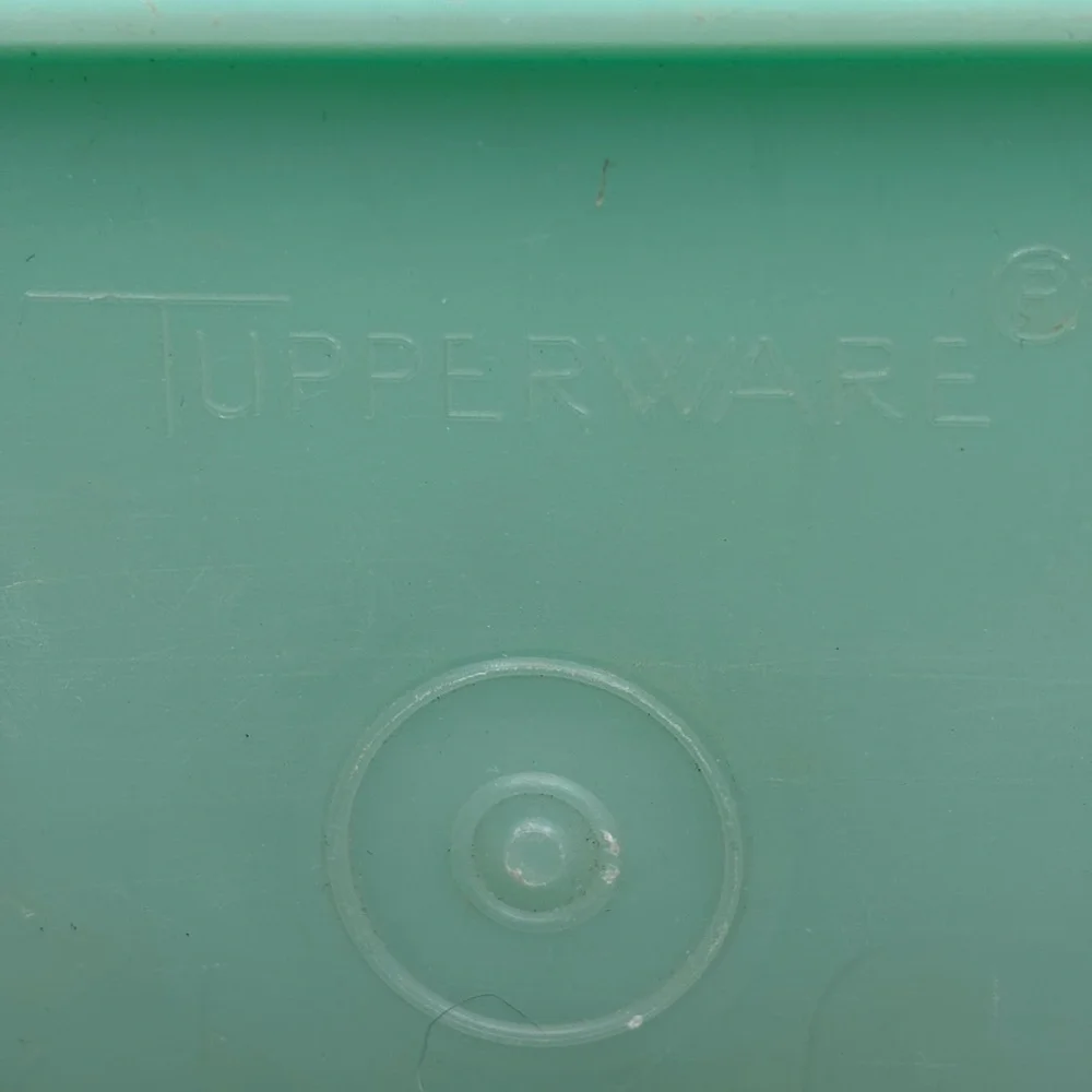 Tupperware celery keeper