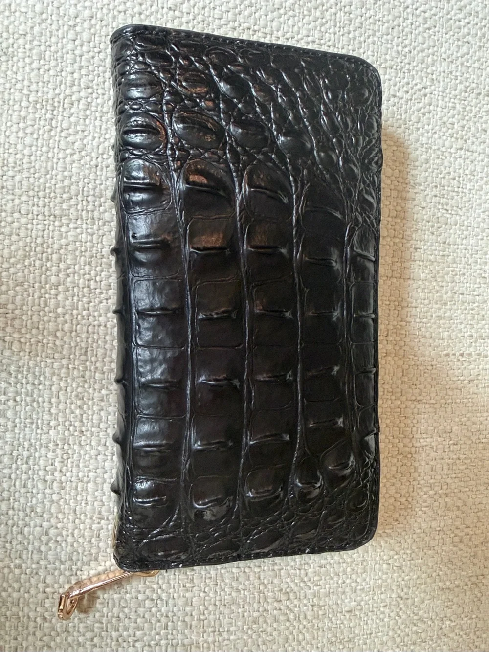 Brahmin sleek croc