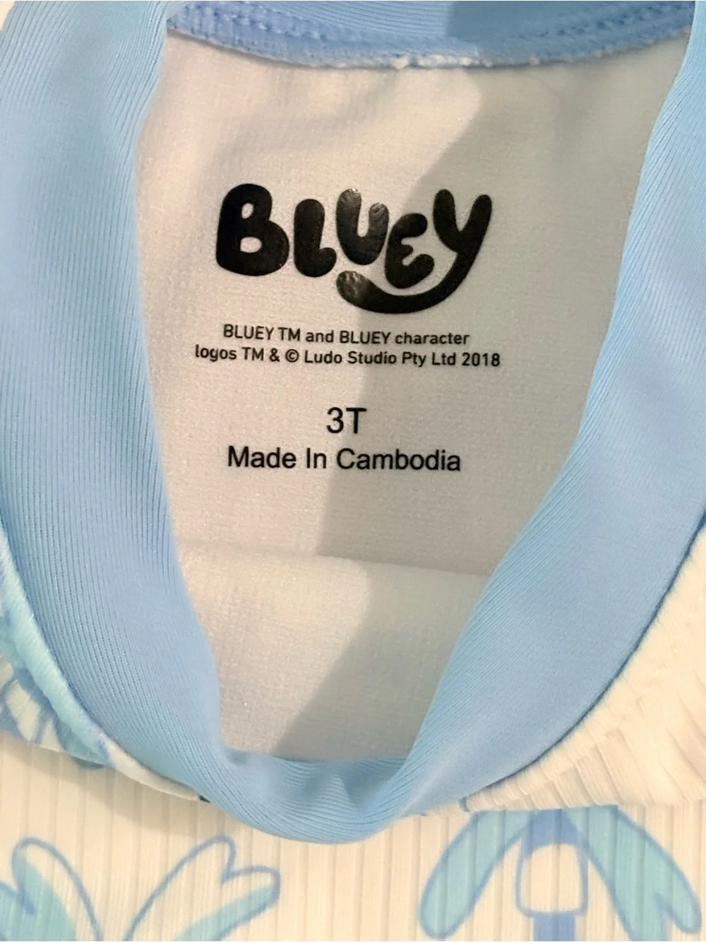 Bluey home items
