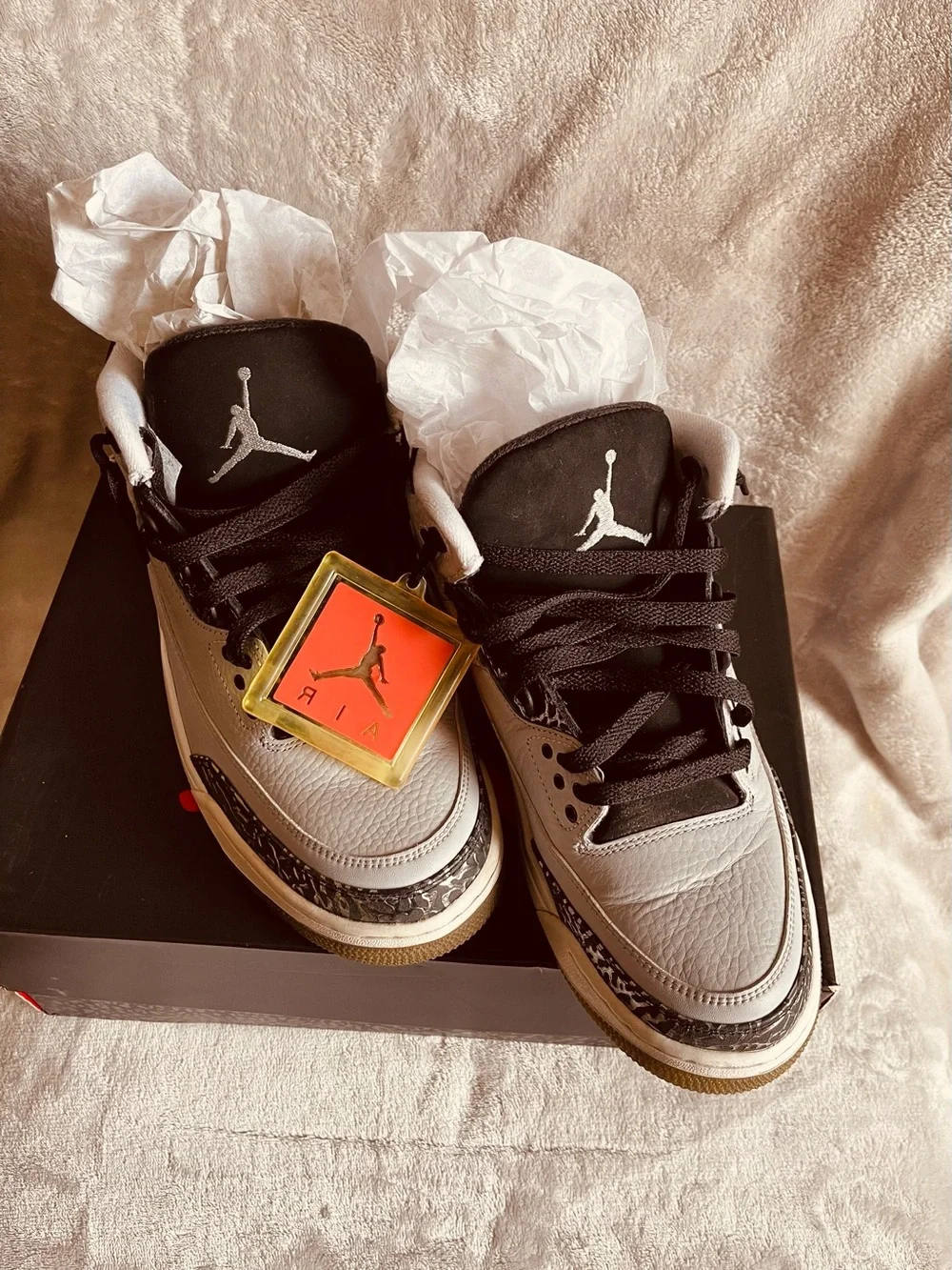 Jordan iconic air