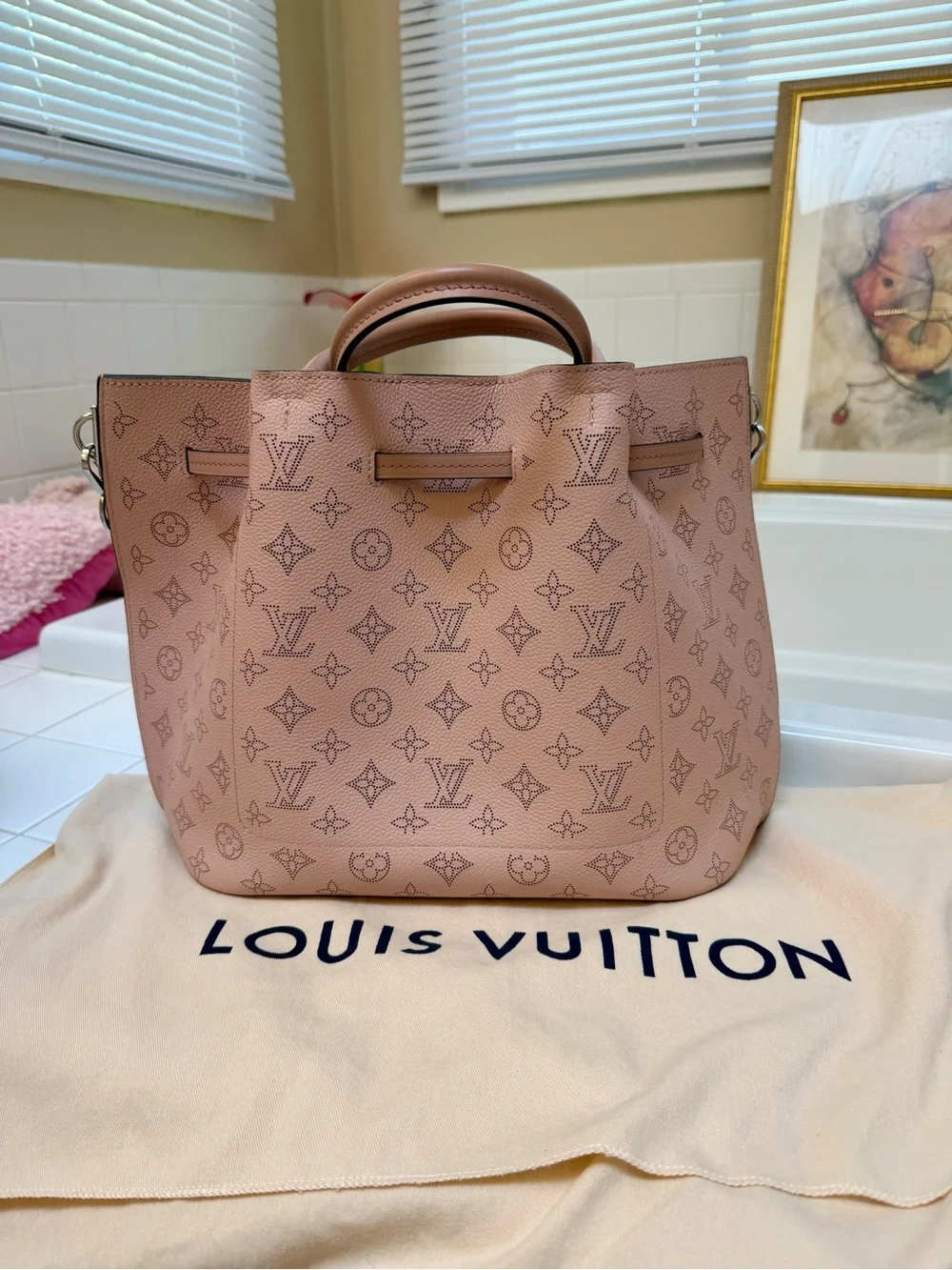 Louis Vuitton stylish louis