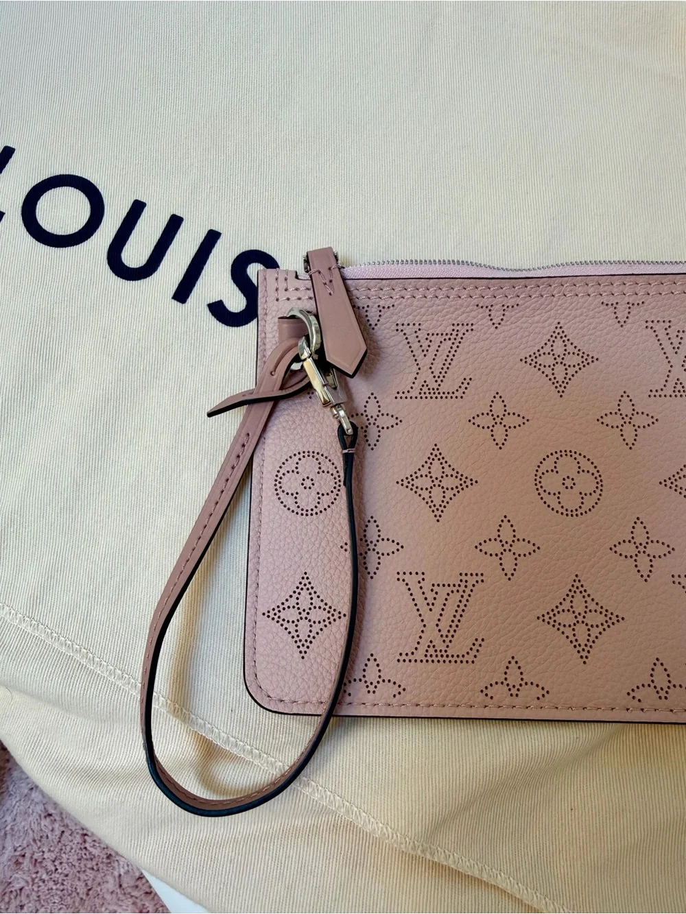 Louis Vuitton stylish louis