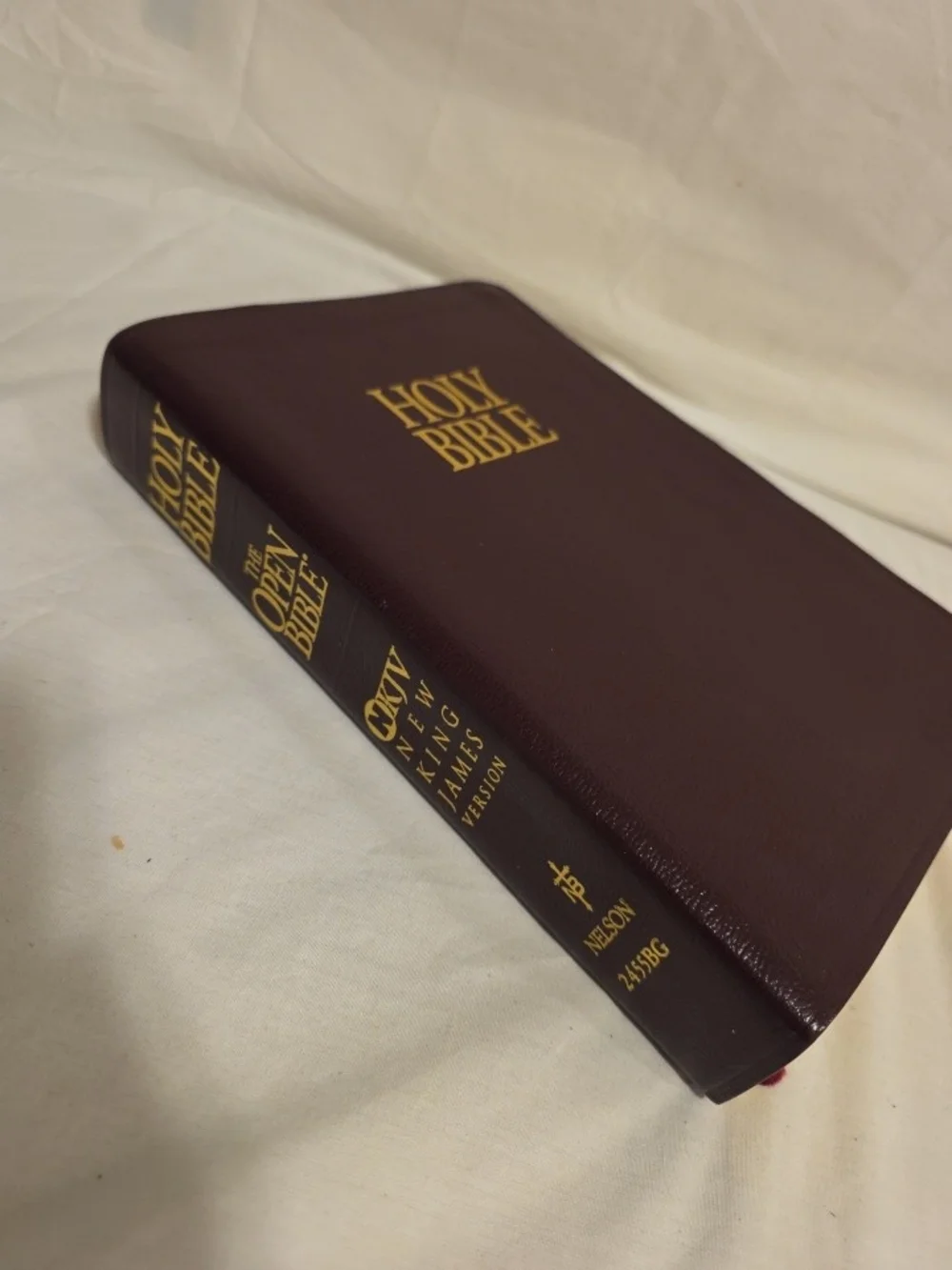 Holy Bible holy bible