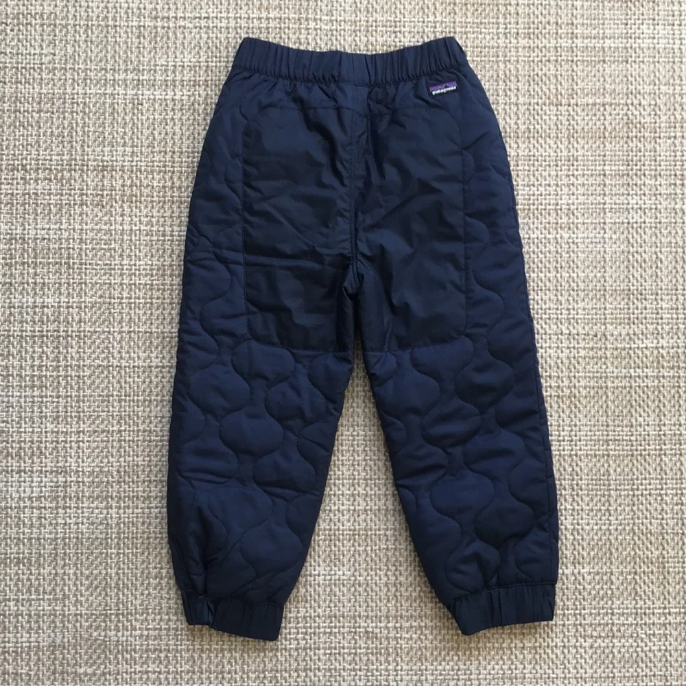 Patagonia pants reinforced