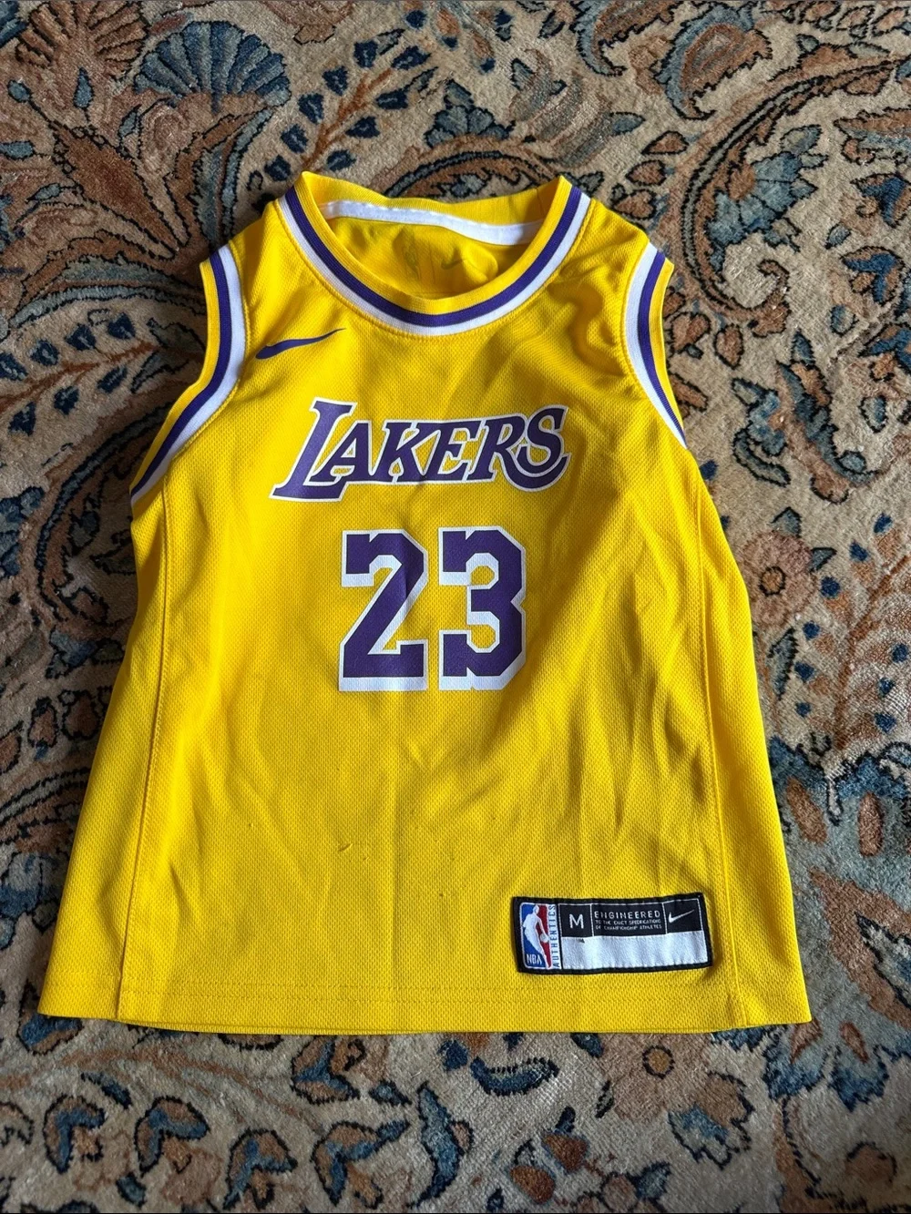 Nike Kids Lakers Yellow/Purple #23 Basketball Jersey well loved James kids 8y 💛💜